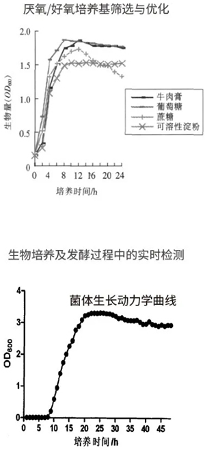 過程安全，結(jié)果精準(zhǔn)